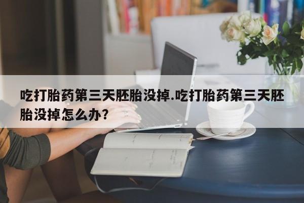 药流药吃打胎药第三天胚胎没掉.吃打胎药第三天胚胎没掉怎么办？