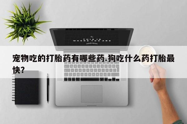 药流药宠物吃的打胎药有哪些药.狗吃什么药打胎最快？