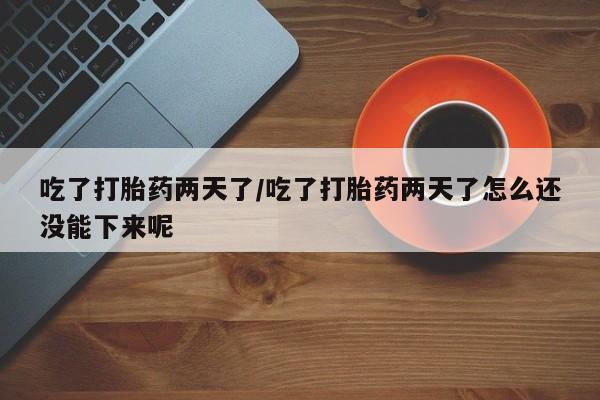 药流药吃了打胎药两天了/吃了打胎药两天了怎么还没能下来呢