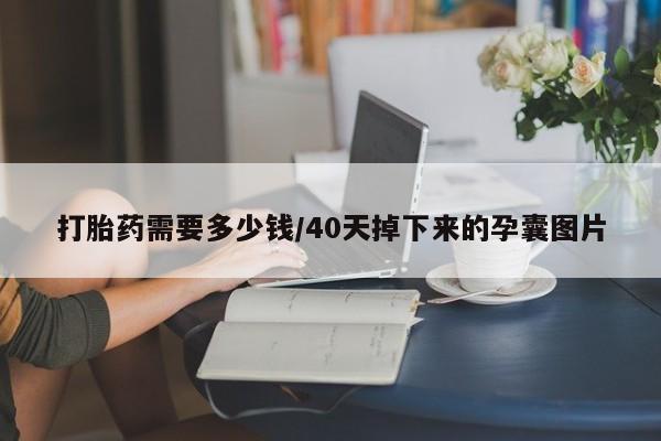 药流药打胎药需要多少钱/40天掉下来的孕囊图片