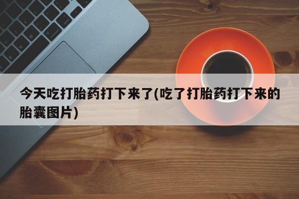药流药今天吃打胎药打下来了(吃了打胎药打下来的胎囊图片)